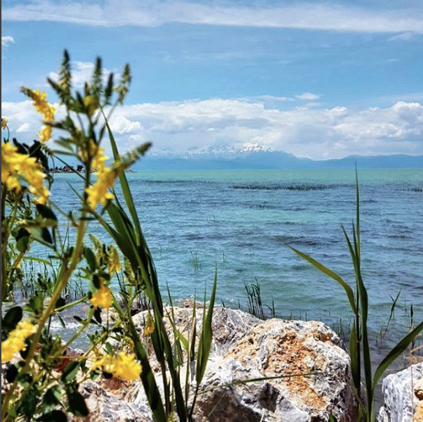 Schermafbeelding 2018-09-14 om 18.28.43